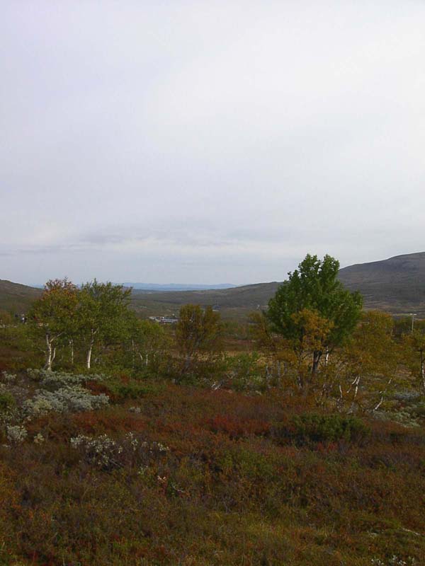 Jamtland_2003_(12)