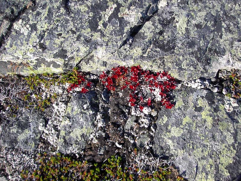 Jamtland_2004(29)