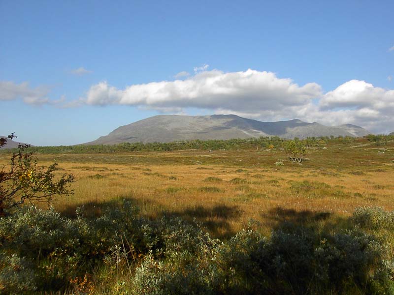 Jamtl2006(19)