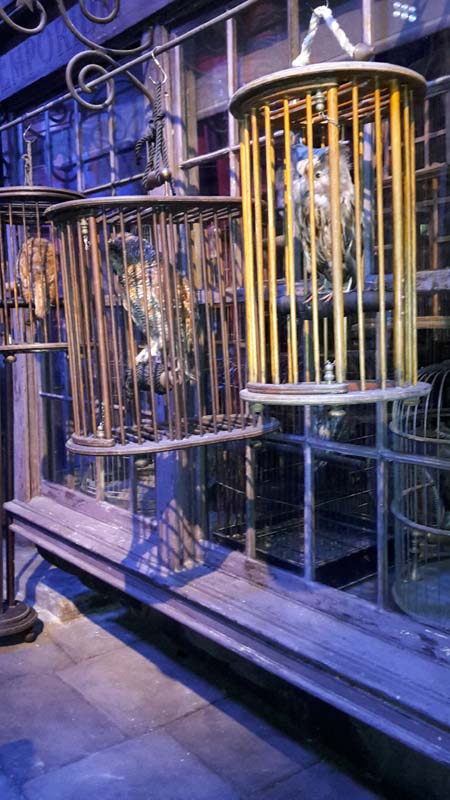 Potter_museum (35)
